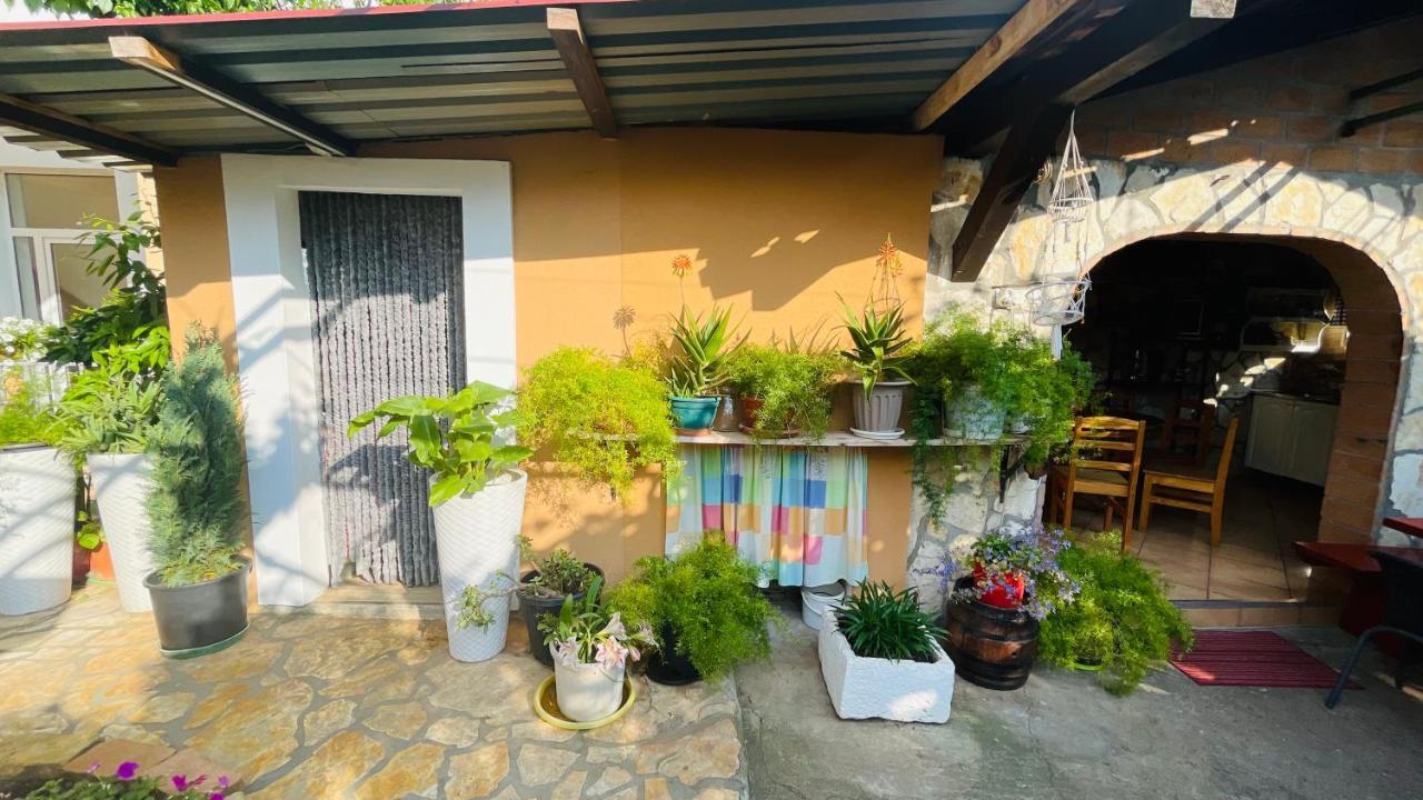 Colorful And Happy Apartment Sukosan - With Parking Εξωτερικό φωτογραφία